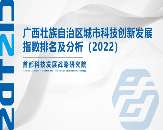 逼站被草的视频【成果发布】广西壮族自治区城市科技创新发展指数排名及分析（2022）